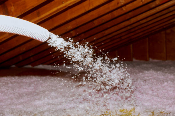 Best Professional Insulation Contractor  in Taylorvle, IL