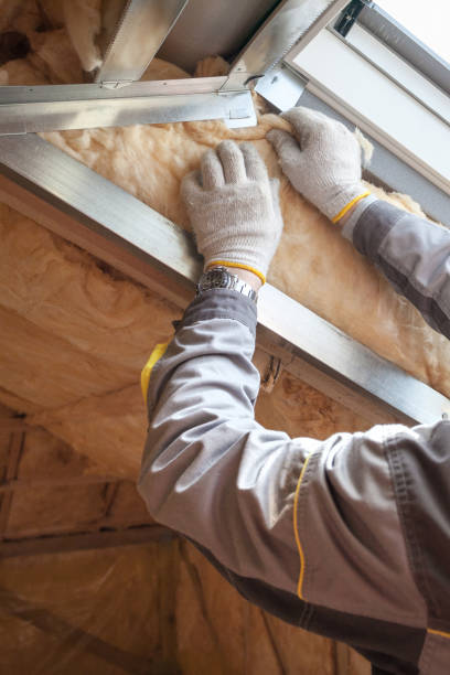Attic Insulation Near Me in Taylorville, IL